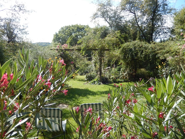 DSC0809